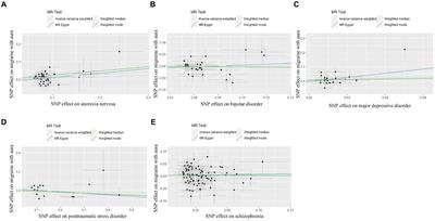 Bidirectional two-sample Mendelian randomization analysis identifies causal associations between migraine and five psychiatric disorders